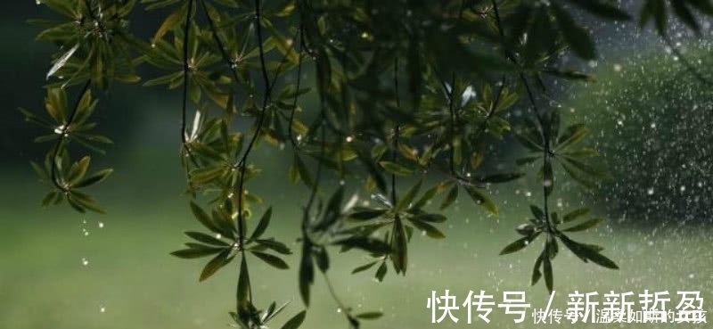 别具一格$杨万里的这首《小雨》,也是一首千古名篇,整首诗充满了诗情画意