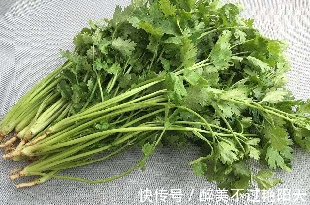 日本人|日军“假扮”八路军,村长热情招待,结果因一把“香菜”全军覆没