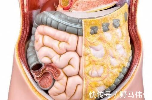 排便|经常“便秘”不舒服,不能光用开塞露,得用一些措施轻松解决!