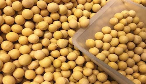 女性|女人失去子宫,与正常人有何差别改变很明显,不少人难以接受