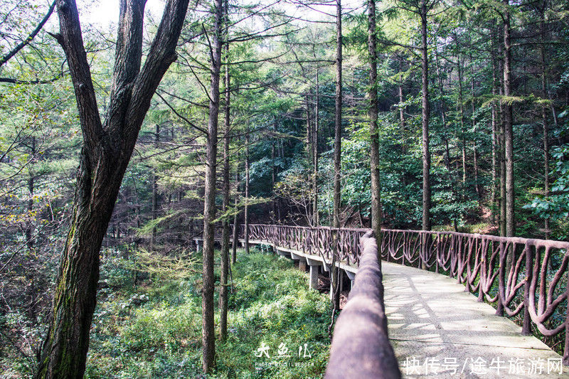 玻璃桥|落日余晖，一颦一笑染尽迷人秋色，遇见古老神秘之国—沂蒙山