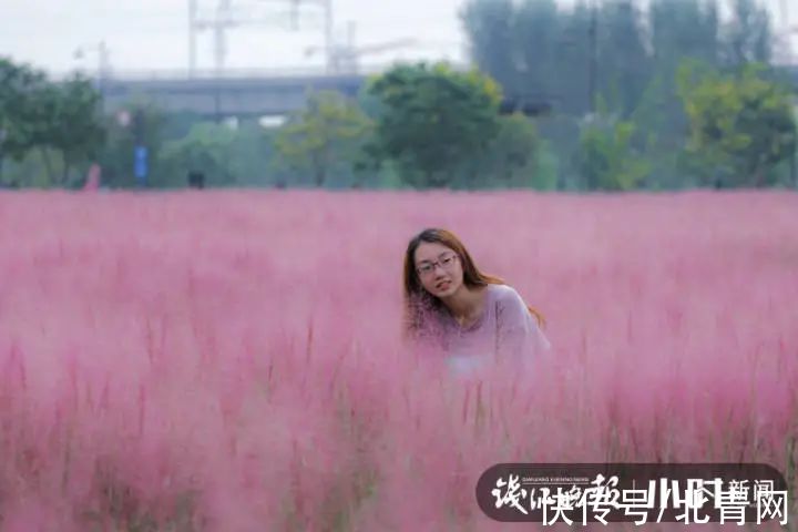 美女|太梦幻！杭州这里美成粉色海洋，小时新闻美女记者实拍支招