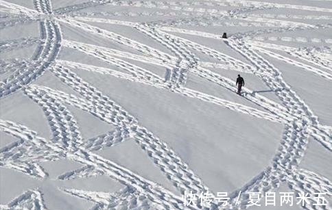 男子雪地里转悠大半天，人们都以为是疯子，直到看到他的脚印