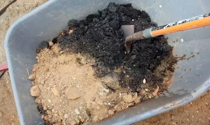 隐患|自制腐叶土养花：用什么土合适，怎么解决虫害隐患？