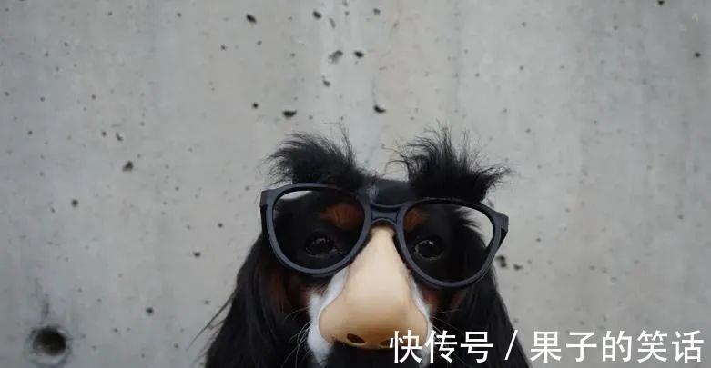 |5个幽默故事,5个启示(必读!)