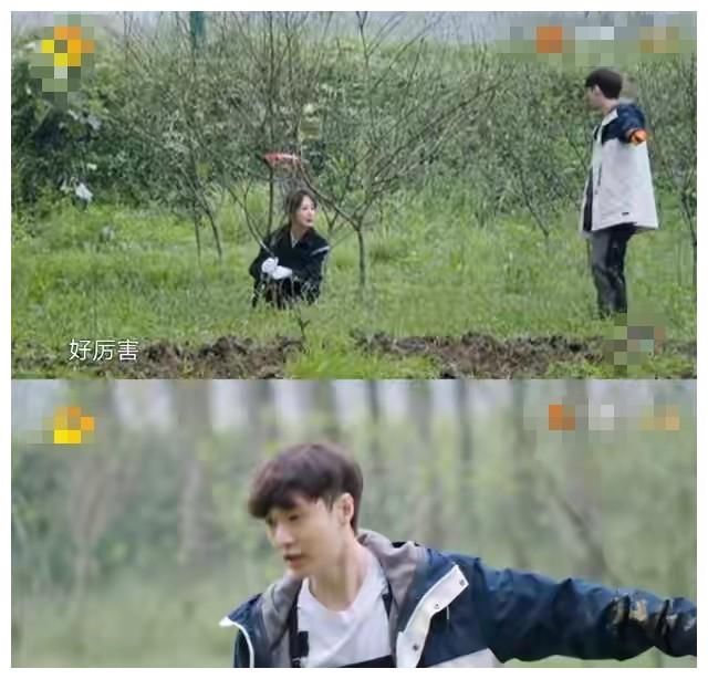 绯闻女友 杨紫空降“向往”，斩获收视率第一，除了炒CP她还有什么魔力