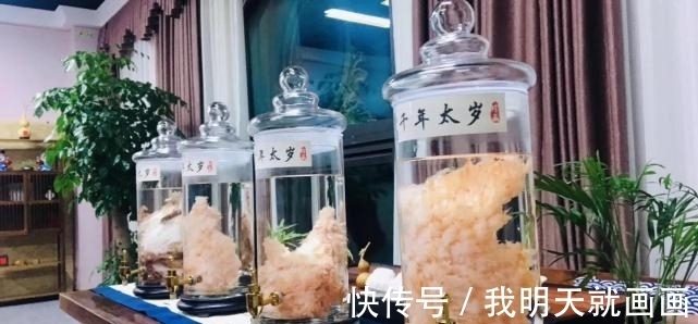 科学家们@一块卖出百万高价,太岁究竟是什么东西?科学研究揭开太岁之谜