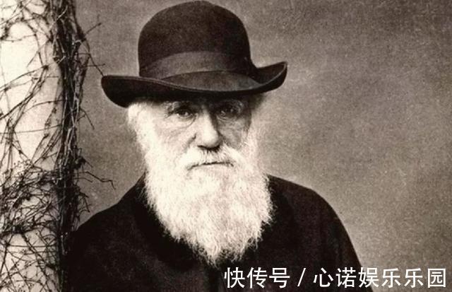 今日心理学|孩子有这3个“怪癖”,暗示他智商会很高,妈妈别逼着孩子改