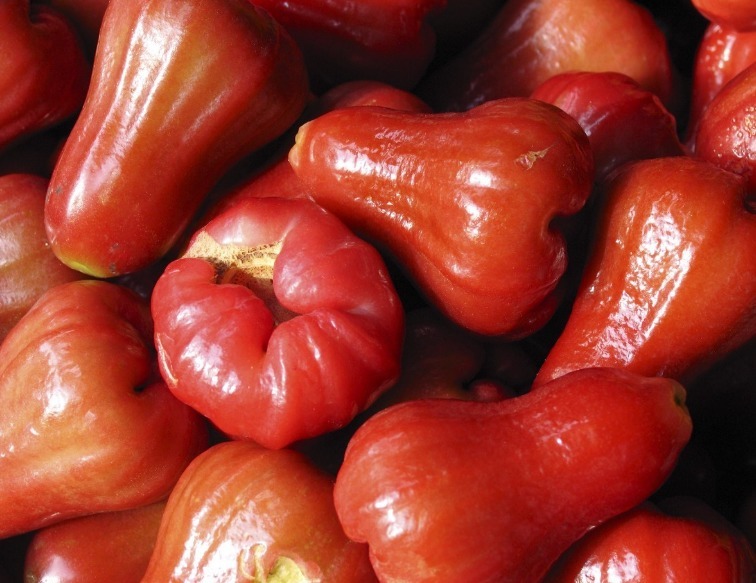 淡化|女性晚上当零食吃两个,防皱补水,淡化黑斑,宁心安神,早食早好