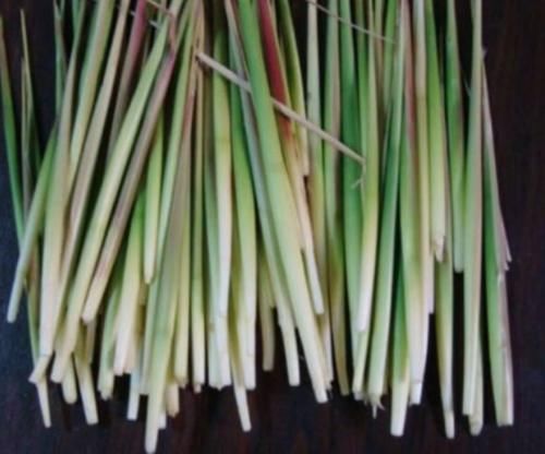 信很多|00后都“没见过”的3种零食,唐僧肉不算啥,这个你见过算我输