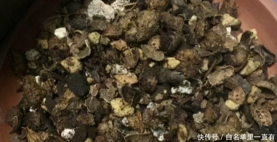 营养土|不起眼的花生壳,养花却能派上大用场,别错过!