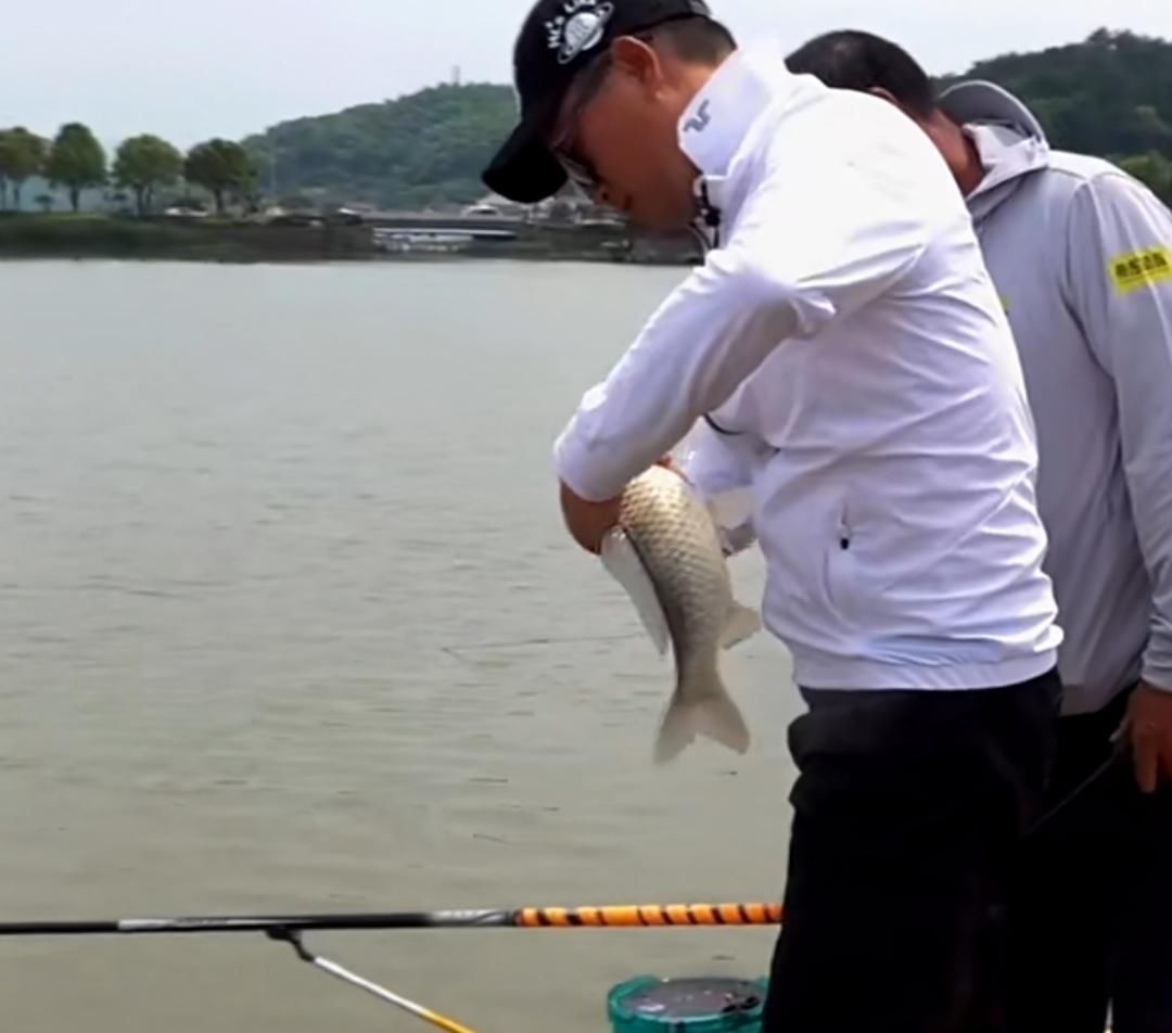 黑坑|邓刚四小时钓获翘嘴百斤，鱼塘主当场撒泼，鱼都不让拿走？