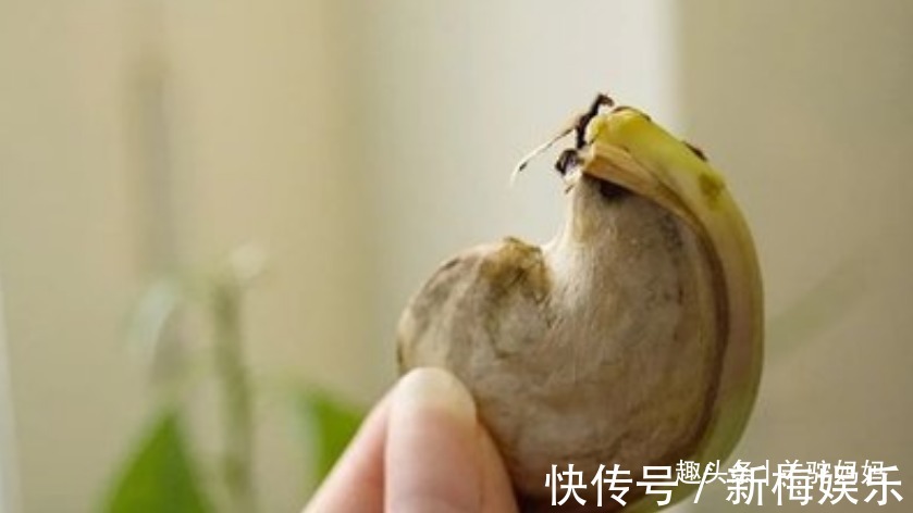 中国国家卫生健康委员会|越来越多孩子患“白血病”,这3种水果被瞄准,娃再馋也别给吃