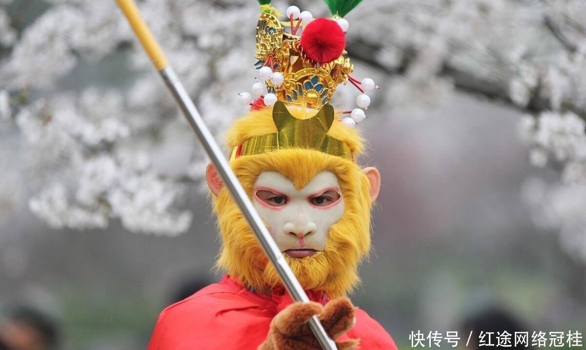 松树|孙悟空变棵松树就被师父撵下山，松树有何禁忌？许多人至今没搞懂