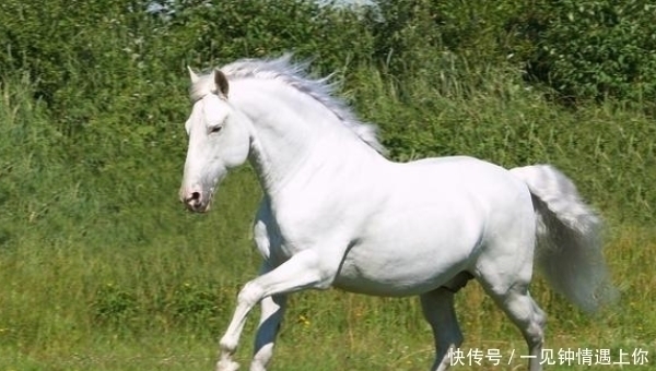 钱财满贯|大难临头各自飞属马人一定要守住这两个人，他们会帮你钱财满贯