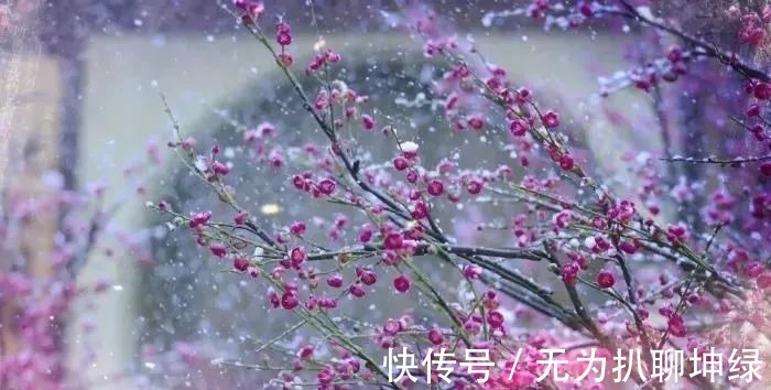 努力|曾国藩:人生只有两件事靠得住