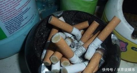 植物|冬季,蚧壳虫来袭该怎么解决!室内养花,弄明白这些再不用犯愁