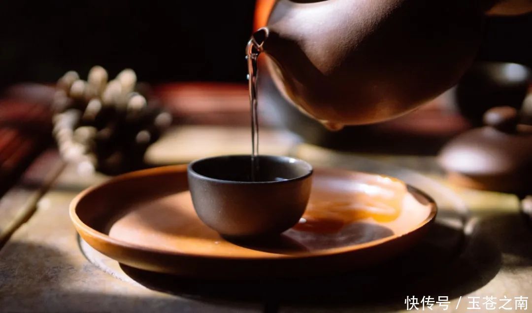 藏一饼普洱,品茶中岁月