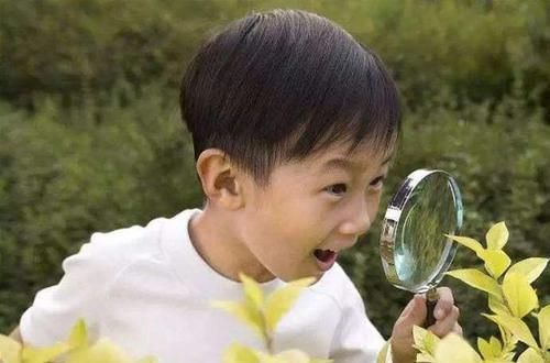 大自然|孩子10岁前,有远见的父母会教他们这三件大事,对一生影响深远!