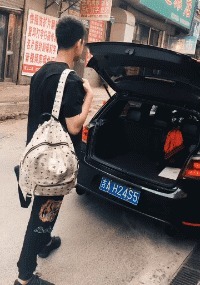 |搞笑GIF趣图：海象：“看你这么可爱的份上，我就配合一下吧！”