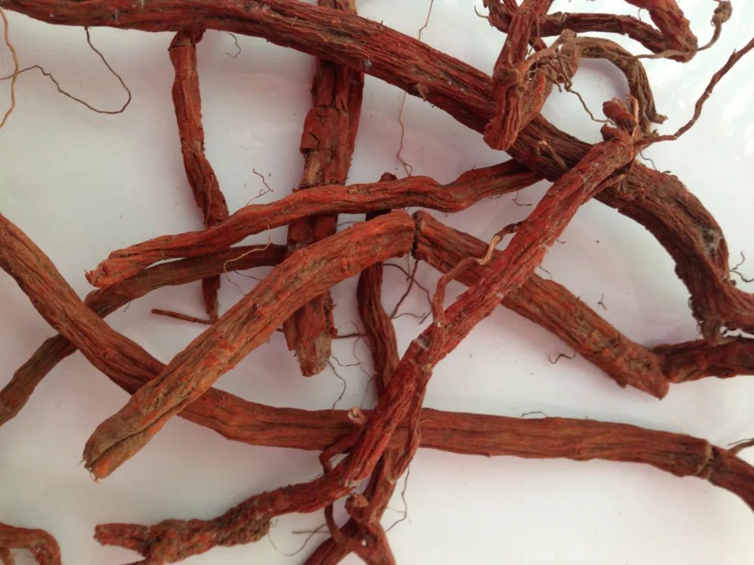 中药|都有通血管的作用,三七和丹参哪一个效果更好?不少人都弄错了