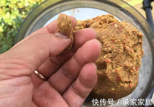 饵料|用“老三样”钓不到鲤鱼?只需要多加一种饵,效果完全不同