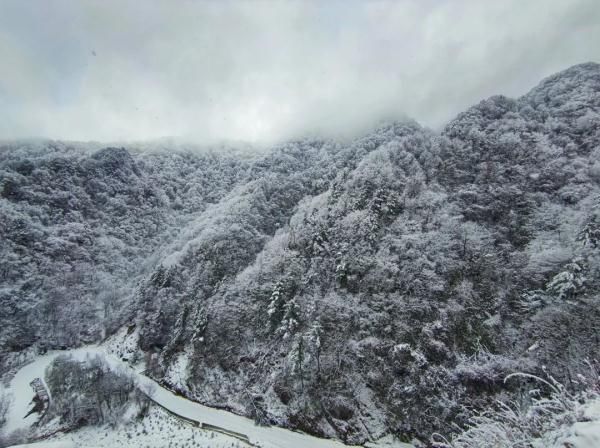 雪花儿|雪后小城，每一帧都美成屏保!