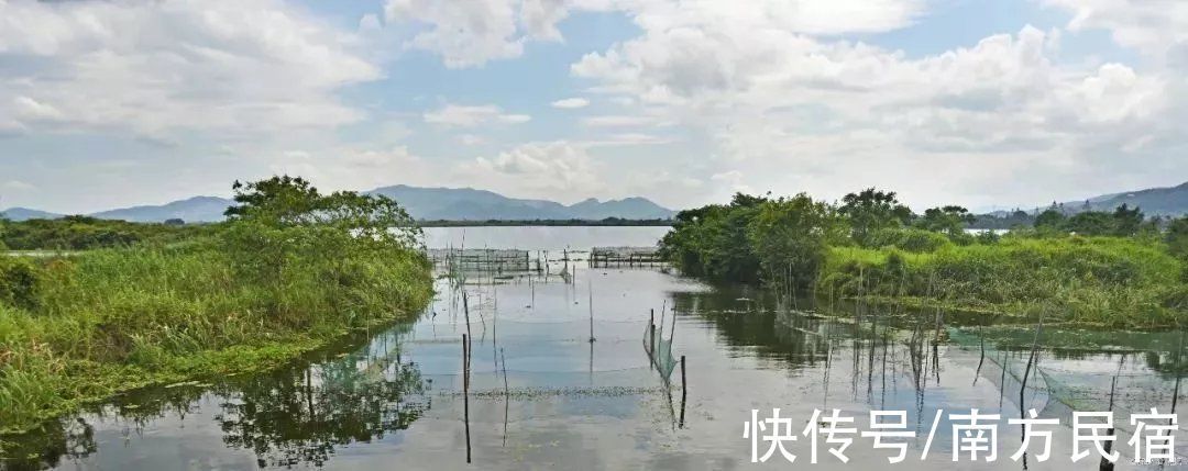 民宿|莫干山一座像极了童话故事中的雪中小屋温泉民宿丨云岸山居