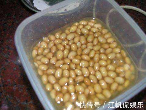 枝条|养文竹，有3个“小方法”，分枝多，叶茂盛，郁郁葱葱长爆盆