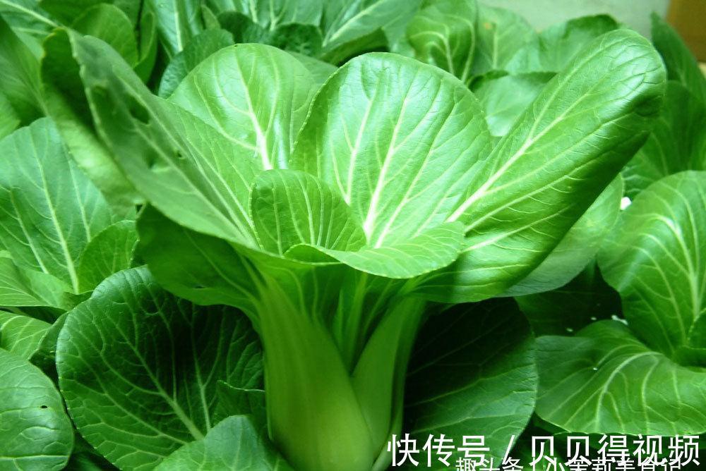 香菇|冬天免疫力低，7种食物要多吃，“叶酸”含量高，男女老幼都受益