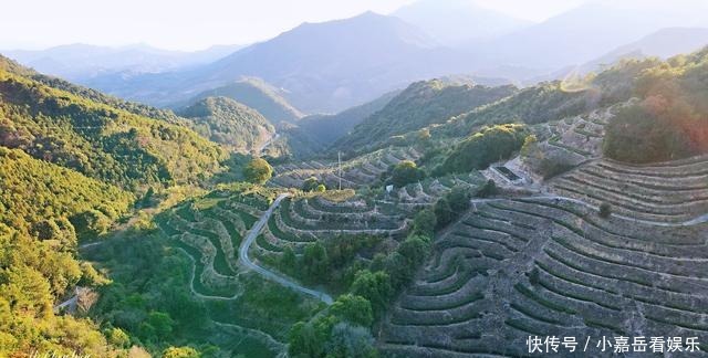 福建生态小镇，山连着山，水连着水，藏着一片世外桃源的茶山