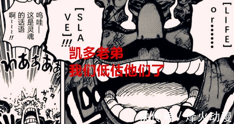 路飞|看完海贼王1040话后,众人的感受是:凯多不和大妈联手怎么能赢呢
