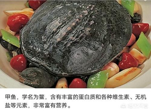 孕妇|孕妇能不能吃海鲜食品？有些人说不能吃，这是为什么？