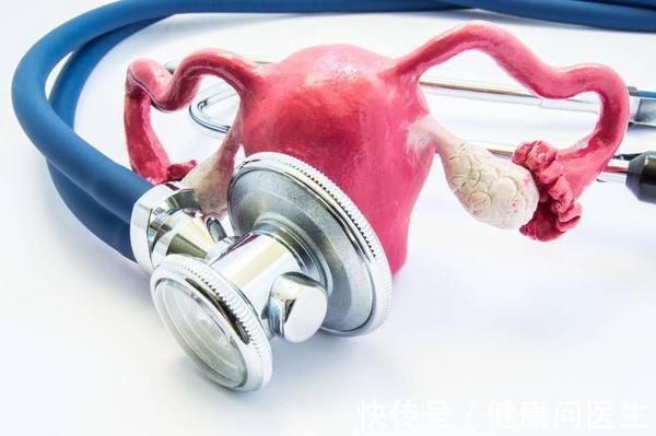 子宫内膜|月经正常排卵正常吗?女性不排卵是为何?备孕的快来看一下