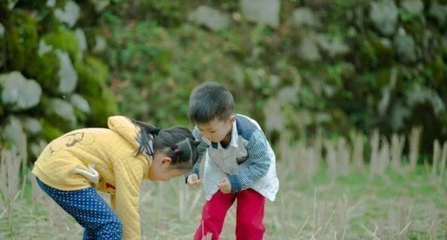 大宝|二胎“最佳年龄差”是几岁?这个数字俩娃不争不抢,家长很舒心