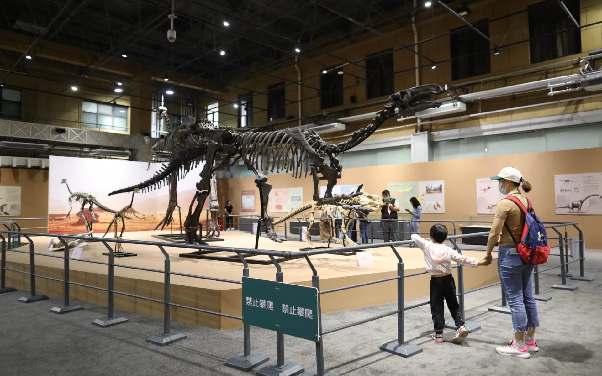 天辰娱乐北京自然博物馆开新展，来看一亿多年前内蒙古戈壁上的恐龙
