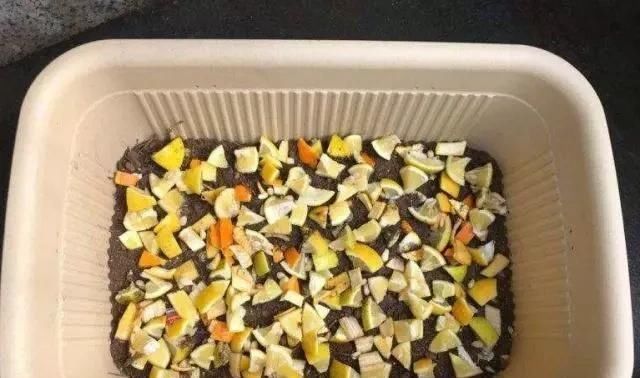 蟹爪|老画家养蟹爪,往盆子里埋三种“材料”,叶子拖长,30~40朵