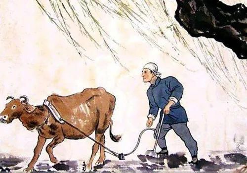 耕牛过时了吗?读两首诗词,看诗人笔下的老牛
