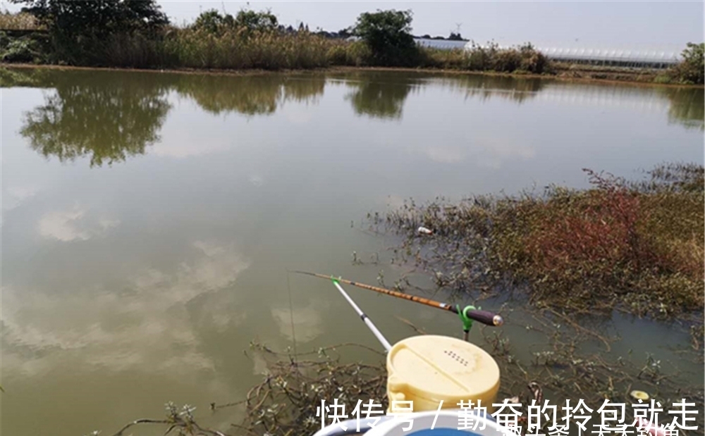 冬钓爆护秘诀：这三类天气出门，在这两类钓点下竿，想不爆护都难