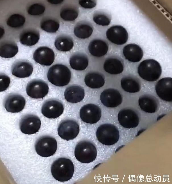 精品|姑娘网购上瘾, 18元买一箱“精品葡萄”, 打开快递, 网友笑喷了