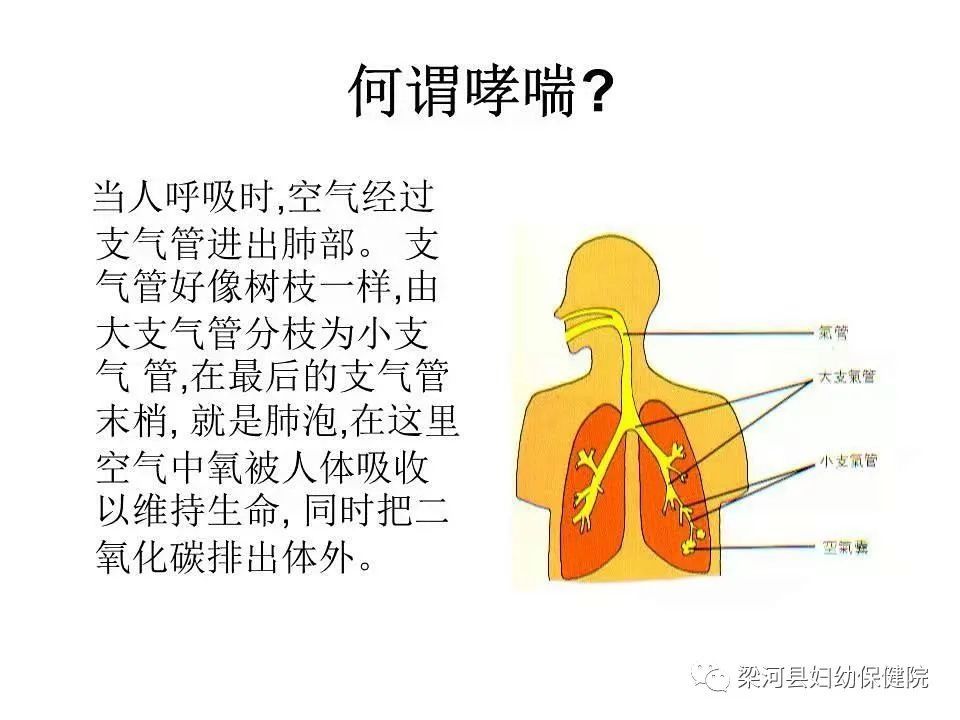 戒烟|常见疾病健康教育宣传知识