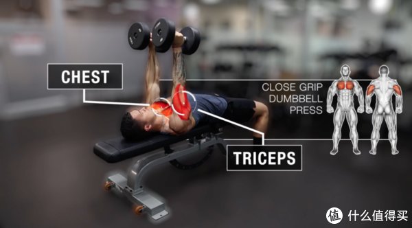 动作|只有哑铃，该如何训练肱三头肌？