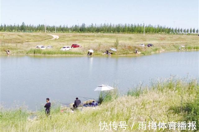 秋天钓鲤鱼,一要凉二要坡、三要等四要稳,没有钓不到鲤鱼的道理