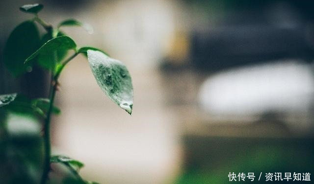 一声声一更更，点滴芭蕉心欲碎，7首古诗词，听雨落下的声音