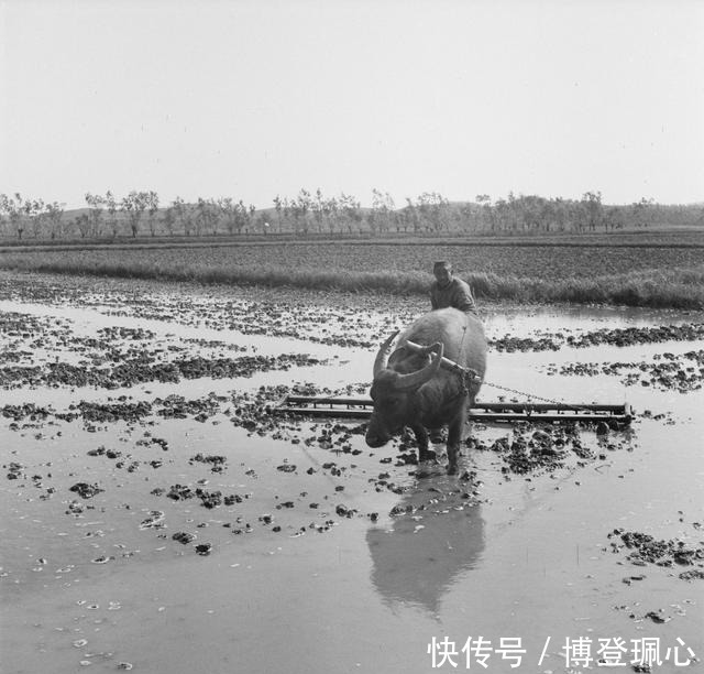 拍摄|莫里逊拍摄的民国老照片