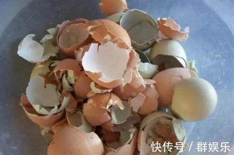 用完的鸡蛋壳千万别扔,不然让你超后悔