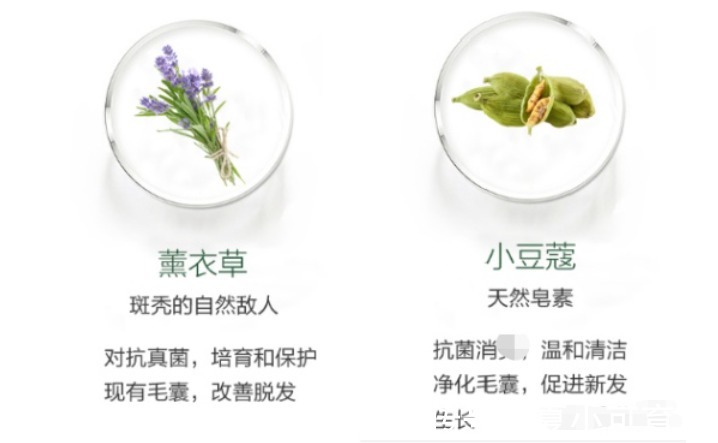 成分|孕期洗发水界的“黑马”,平价且效果不输大牌,却因小众不被熟知