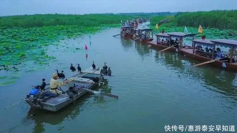 水浒英雄|泰安夏季游玩指南私藏“避暑胜地”，让你凉快一夏