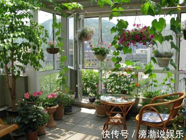 杀菌|养花上盆前,记得“多做一步”,不然“招虫子”,还烂根!