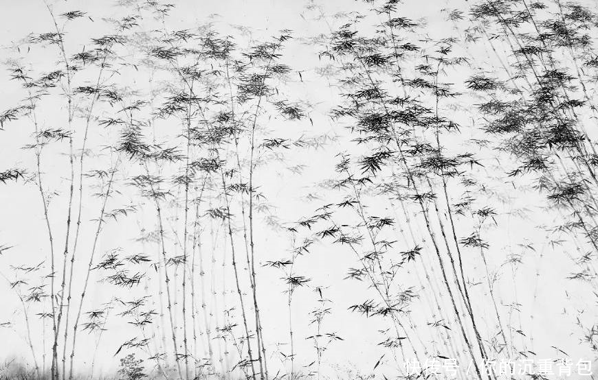 冷军的油画竹子和90后大叔池静山笔下的墨竹,你更喜欢哪个呢
